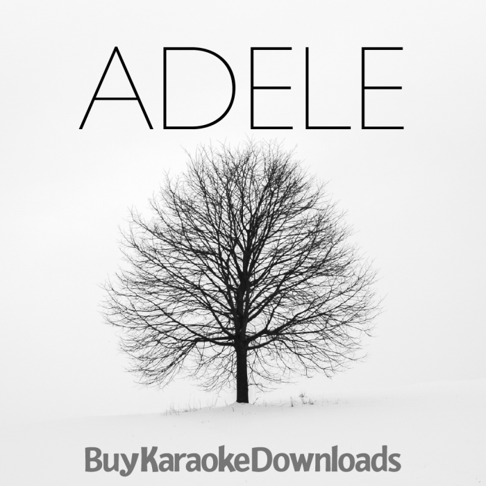 Best Of Adele Karaoke From Buykaraokedownloads